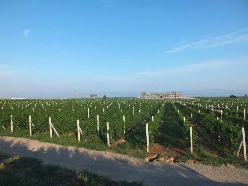 格瑞特莊園春季踏青游，一場微醺的春日盛宴等你來！